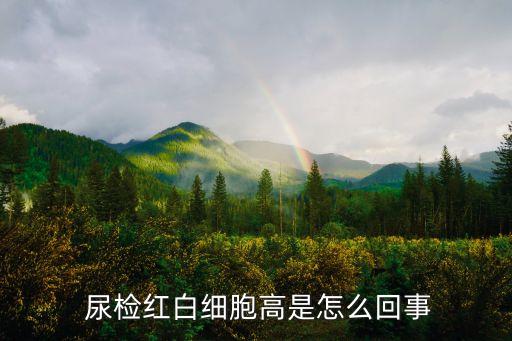  尿檢紅白細胞高是怎么回事