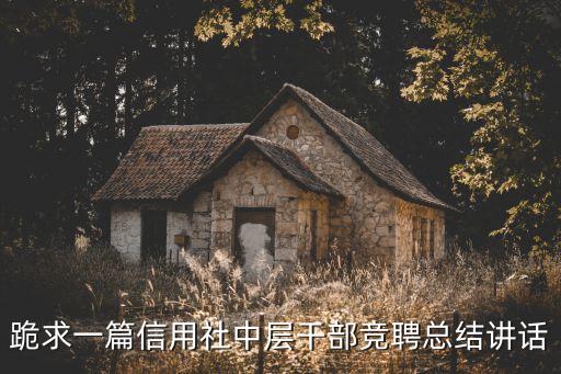 中層競聘演講稿，中層領導崗位競聘演講稿 常見崗位競聘演講稿 專家整理