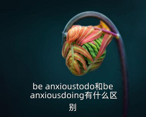 be anxioustodo和be anxiousdoing有什么區別