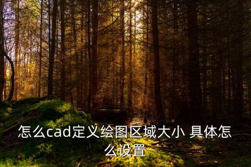 怎么cad定義繪圖區域大小 具體怎么設置