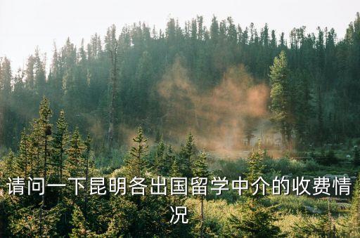 請問一下昆明各出國留學中介的收費情況