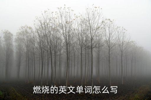 燃燒英文，火的英文