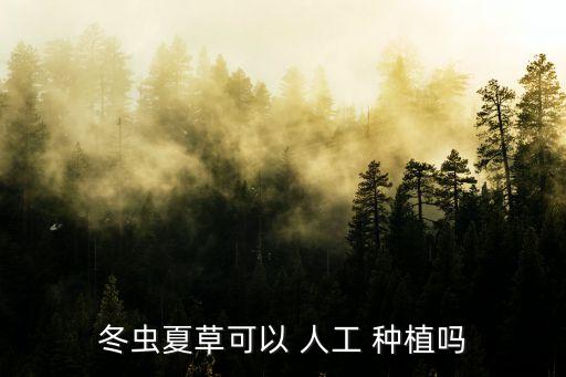 冬蟲夏草可以 人工 種植嗎