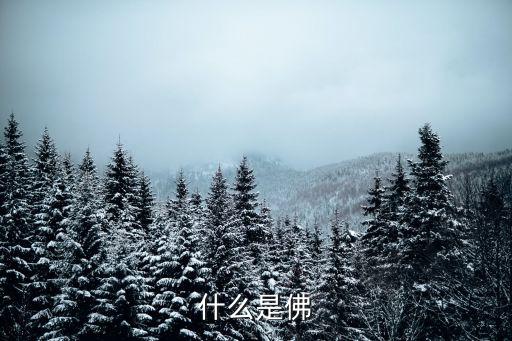 什么是佛