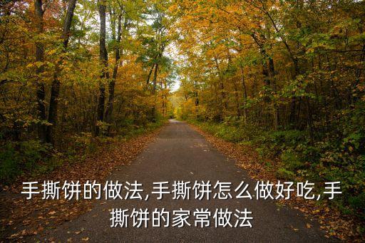 手撕餅的做法,手撕餅怎么做好吃,手撕餅的家常做法