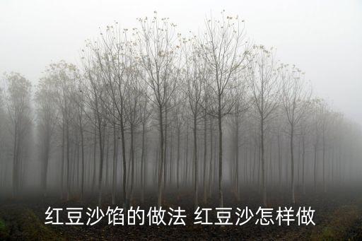 紅豆沙餡的做法 紅豆沙怎樣做