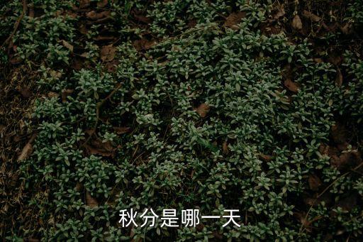 秋分是什么意思，秋分是哪一天