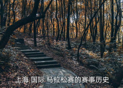 上海國際馬拉松,上海-2馬拉松獲金獎稱號