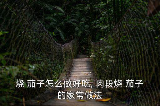 肉段燒茄子怎么做