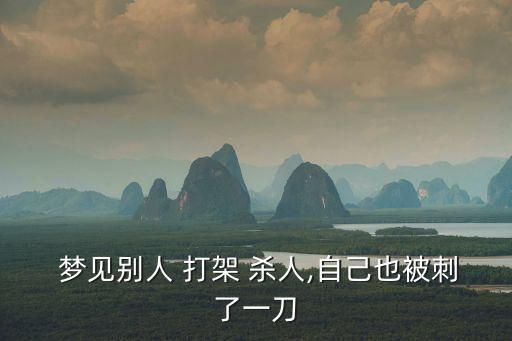  夢見別人 打架 殺人,自己也被刺了一刀