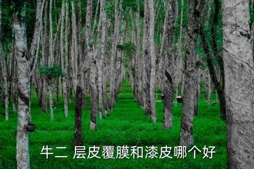  牛二 層皮覆膜和漆皮哪個(gè)好