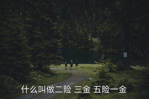 什么叫做二險 三金 五險一金