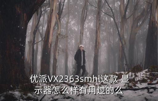  優派VX2363smhl這款 顯示器怎么樣有用過的么