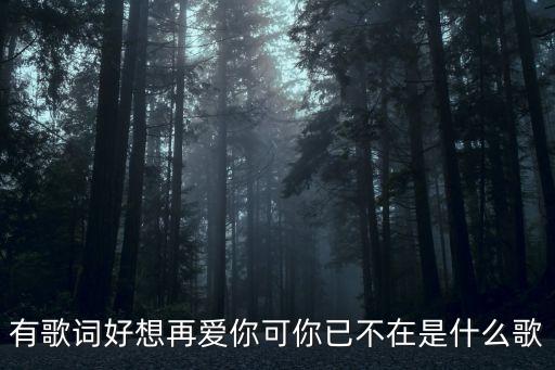 有歌詞好想再愛(ài)你可你已不在是什么歌
