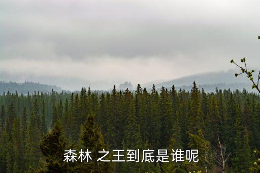 森林之王是什么動物,森林之王老虎是食肉動物也是捕獸之王