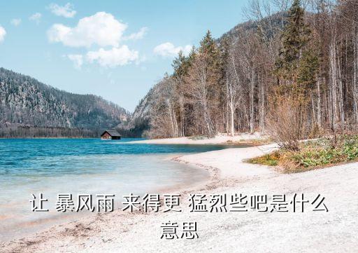 讓暴風(fēng)雨來得更猛烈些吧,第二集:勇敢的海燕展翅高翔