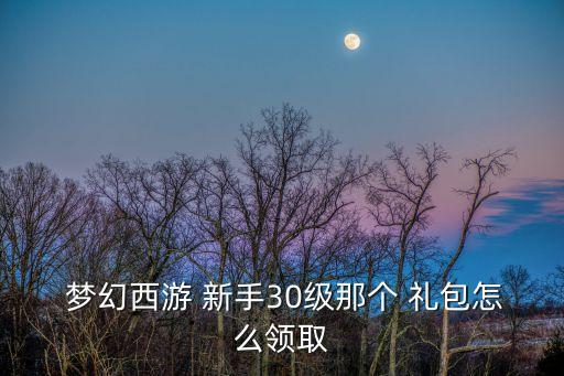  夢幻西游 新手30級那個 禮包怎么領取
