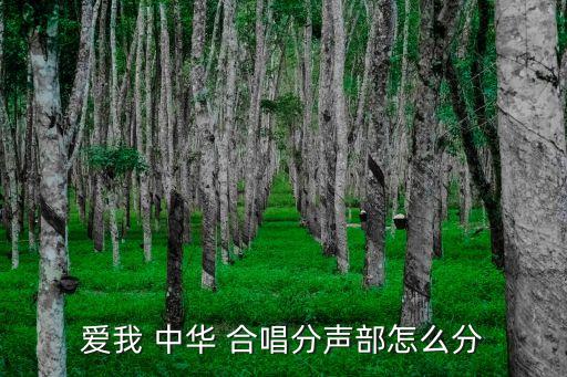 愛我中華合唱,第二部唱副歌相對難學