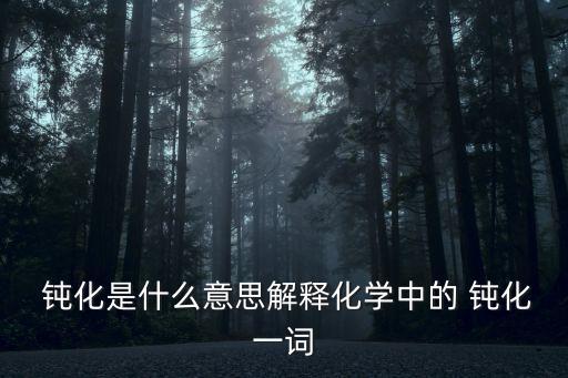  鈍化是什么意思解釋化學中的 鈍化一詞