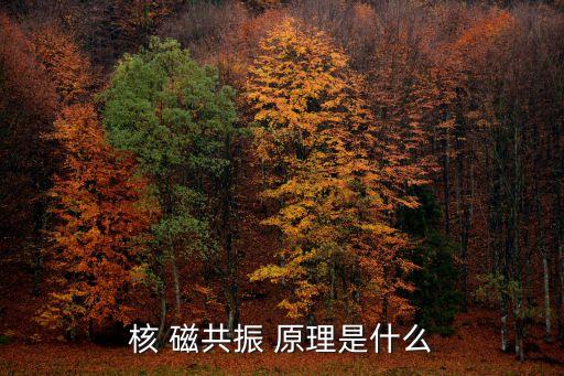 磁共振原理,核磁共振成像技術利用原子核共振信號重建成像