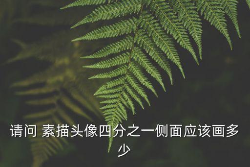 請(qǐng)問 素描頭像四分之一側(cè)面應(yīng)該畫多少