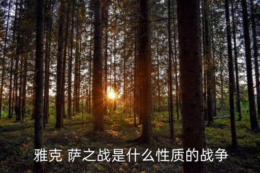 雅克薩之戰,抗擊俄國入侵雅克薩之戰以清軍勝利告終