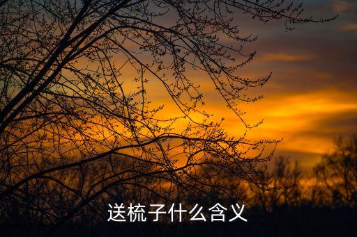 送梳子什么含義