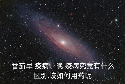 番茄早疫病,早晚疫病可噴灑曼哈頓后曼托2號殺菌劑
