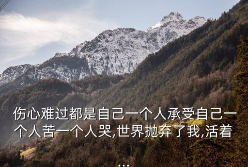  傷心難過都是自己一個人承受自己一個人苦一個人哭,世界拋棄了我,活著...