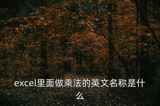 乘以英文，急求乘法的乘積用英語是product那除法的商加法的
