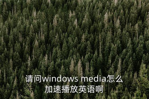 請問windows media怎么加速播放英語啊