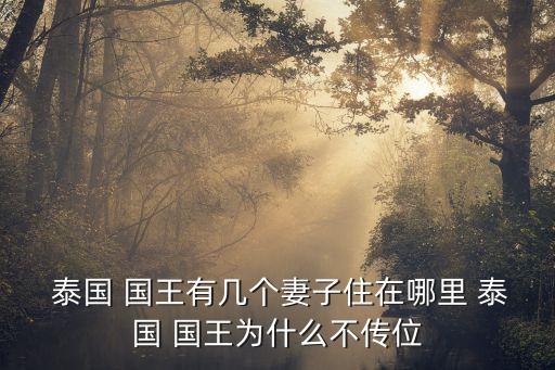  泰國 國王有幾個妻子住在哪里 泰國 國王為什么不傳位