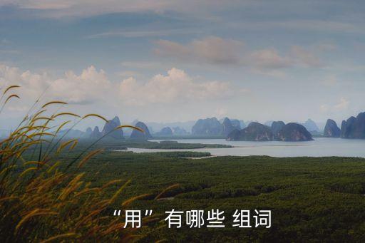 用怎么組詞,第一集:用武力、懲罰、濫用、雇用、