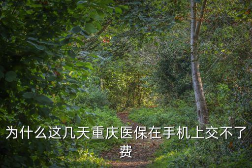 為什么這幾天重慶醫保在手機上交不了費