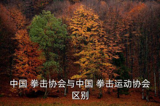 中國 拳擊協(xié)會與中國 拳擊運動協(xié)會區(qū)別