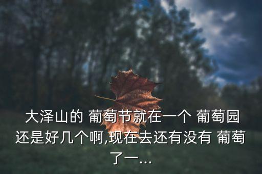  大澤山的 葡萄節就在一個 葡萄園還是好幾個啊,現在去還有沒有 葡萄了一...