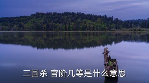 官階,三國志:三等到二等殺一個隊長沒有獎勵