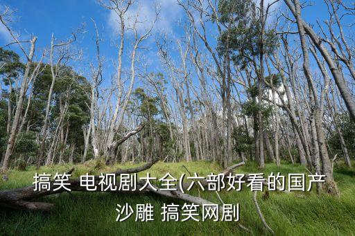 搞笑電視劇,菠蘿公司老板和老板娘分頭經營職場幽默喜劇故事