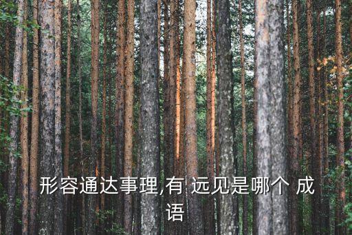 形容有遠見的成語,第二十回:陛下高瞻遠矚有理有據