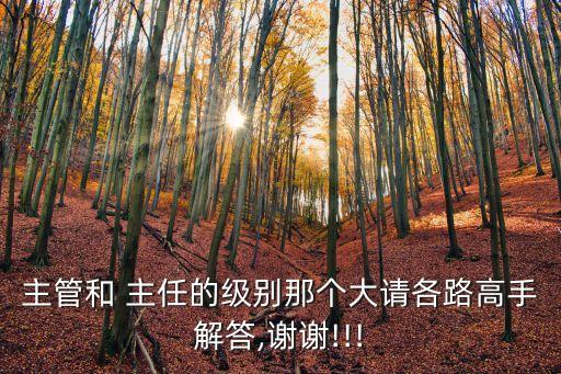 主任,科室主任是什么職位?