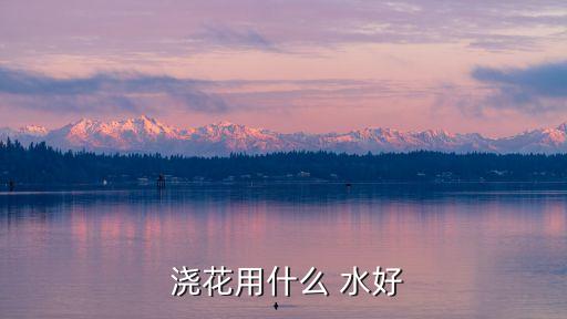  澆花用什么 水好