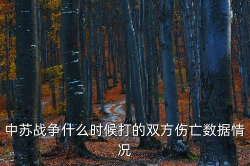中蘇戰(zhàn)爭(zhēng)什么時(shí)候打的雙方傷亡數(shù)據(jù)情況