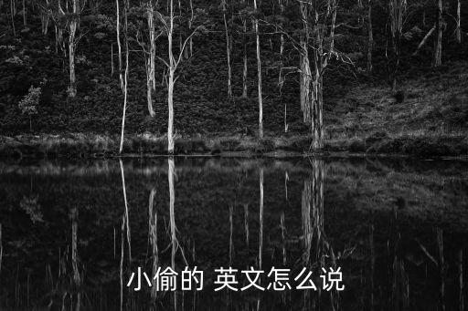 小偷英文,賊與強盜的區別:賊的含義很廣