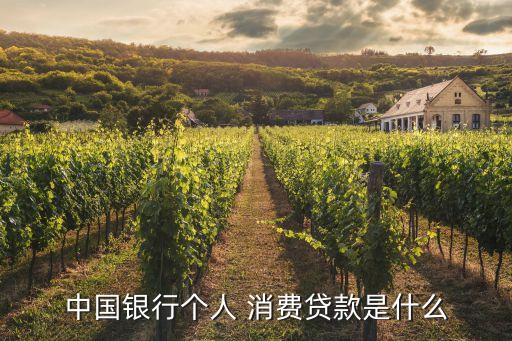 消費(fèi)貸是什么,中行消費(fèi)貸款個(gè)人貸款分為兩類