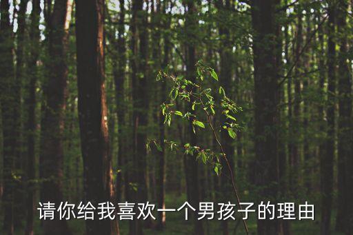 請你給我喜歡一個男孩子的理由