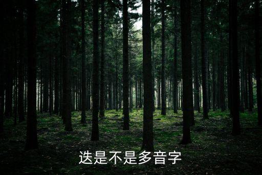 迭是不是多音字