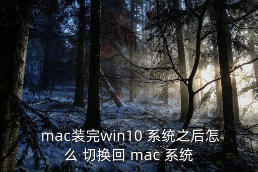  mac裝完win10 系統之后怎么 切換回 mac 系統
