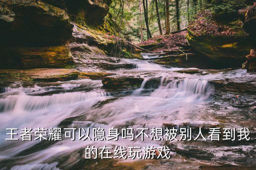 王者榮耀能隱身嗎，王者榮耀能上線隱身嗎