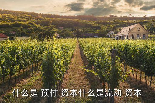 預付資本,經(jīng)濟學中預付資本和預付total資本不同意思