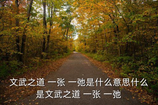 文武之道 一張 一弛是什么意思什么是文武之道 一張 一弛